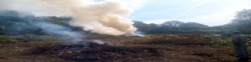 Incendi boschivi, prorogato al 30 settembre il divieto di abbruciamento